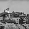 Rice harvest 2017