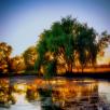 Sunset at the Pond